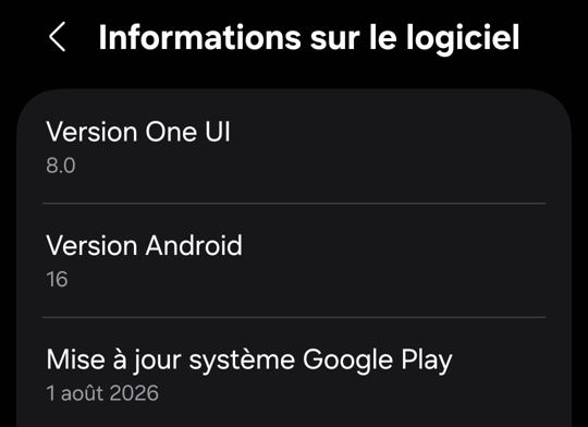 Informations sur le logiciel d’un Samsung Galaxy S21 FE : One UI 8.0, Android 16, mise à jour système Google Play du 1er août 2026